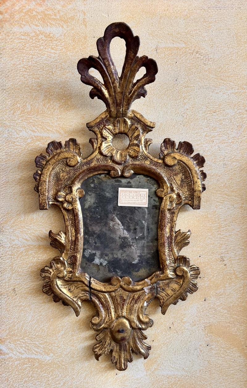 Ventolina dorata, Marche, primi '700